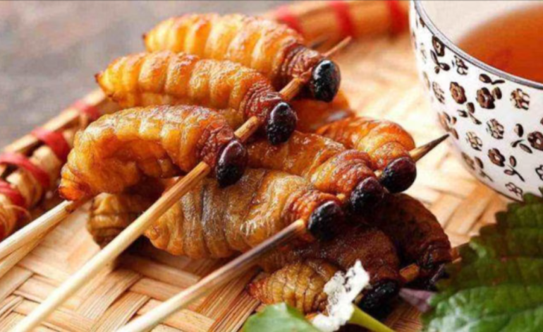 Sate Ulat Sagu Kuliner Unik Dari Hutan Kalimantan